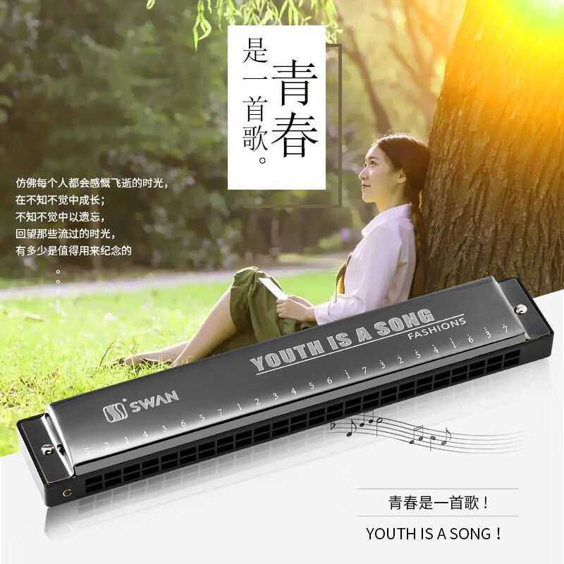 天鹅24孔单音c调口琴单音C大调初学者学生成人儿童练习入门自学专