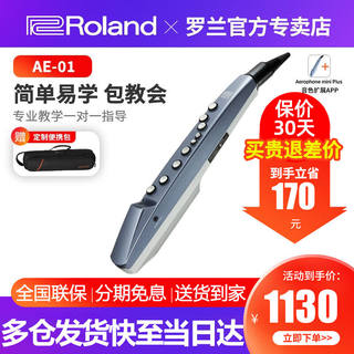 罗兰（Roland）电吹管AE01C自带音源扬声器竖笛指法初学者成年老