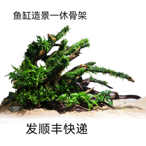 南美造景原生态风格懒一物成景