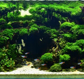 鱼缸造景一体拼接骨架森林造景30方缸造景35方缸造景60缸以下定制