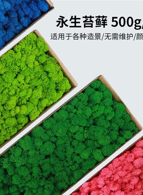 永生苔藓植物盒装花材材料包diy干花真花植物墙仿真蓬松背景墙面