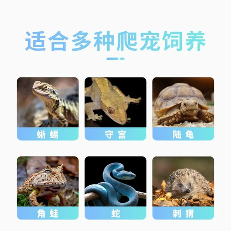 饲养箱爬箱刺猬保温箱爬宠饲养箱仓鼠PVC爬虫蜥蜴陆龟蛇守宫刺猬图片