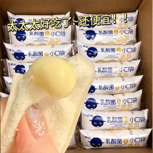 乳酸菌小口袋面包整箱早餐蛋糕夹心儿童零食小吃健康代餐休闲食品