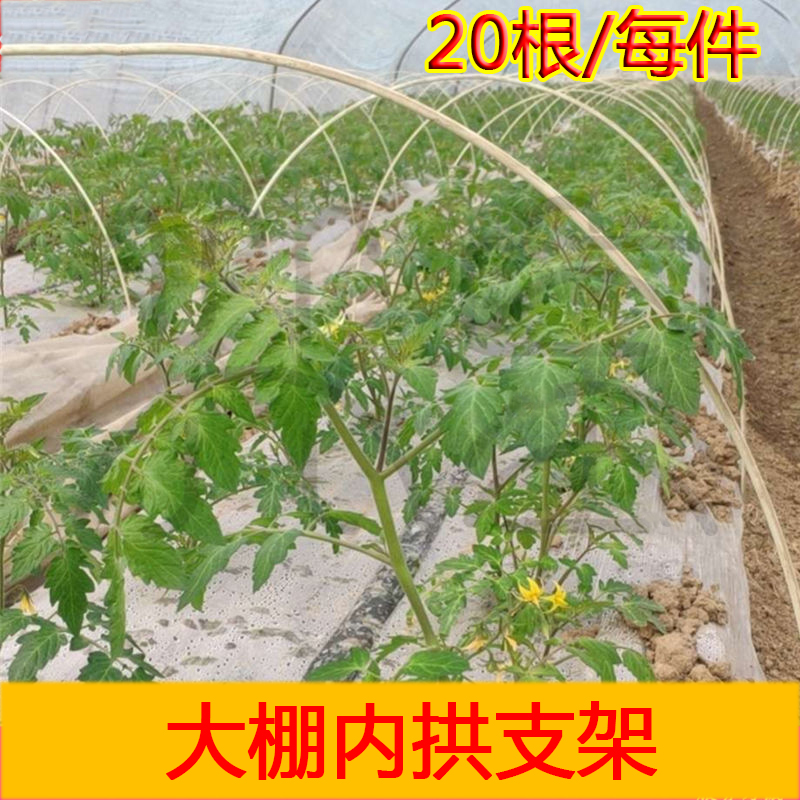 支架艺璃纤维拱棚大棚农用内骨架竿蔬菜J保温菜地玻纤杆园玻农业-封面