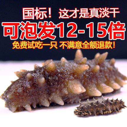 国标淡干海参干货500g250克底播辽刺参海生孕妇旗舰店礼盒非即食