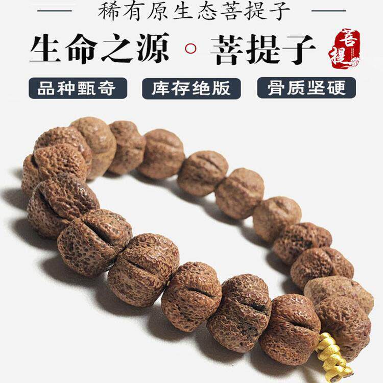精选原籽生命之源小金刚菩提子手串男女款文玩佛珠手持单圈收藏级