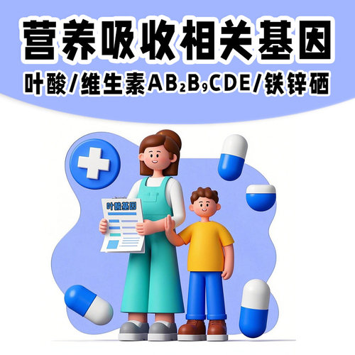 叶酸 维生素AB2CDE 铁锌硒元素吸收代谢能力基因检测