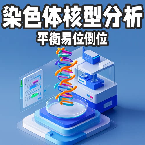 染色体核型分析 染色体平衡易位倒位 不明原因流产