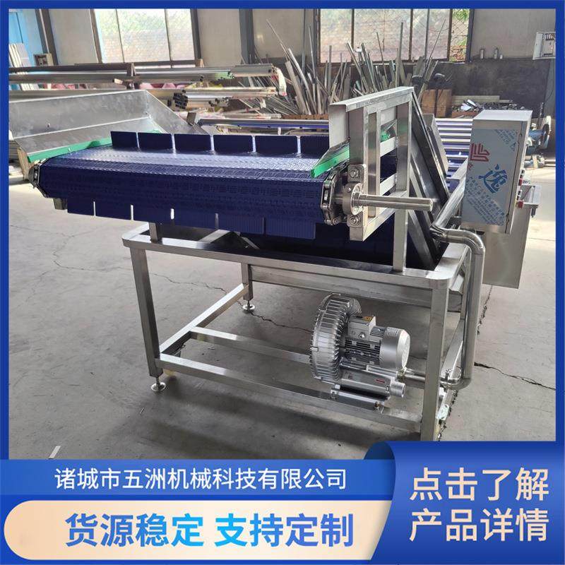 生菜清洗机果蔬清洗设备全自动连续式气泡清洗机樱桃气泡清洗设备,清洗/食品/商业设备,其他食品加工设备,淘宝优惠券,粉丝福利购,淘宝优惠卷