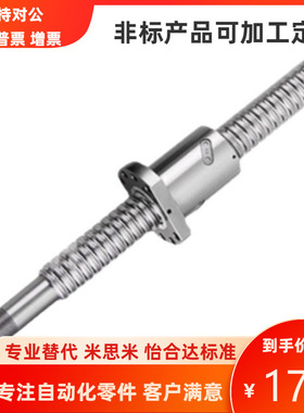 滚珠丝杠BTWE2505 2510 2525高精度直线导轨丝杆螺母精密螺杆定做