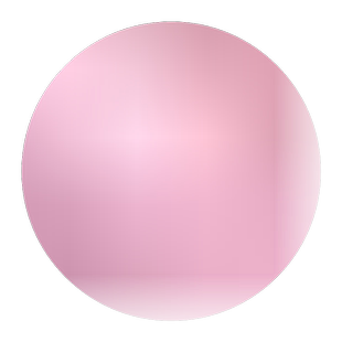 乒乓菊菊花种子花籽球行四季易种活室内外阳台鲜花盆栽种子