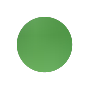 三叶草种子白三叶草籽红三叶草籽四季青草坪牧草果园绿肥四季播种