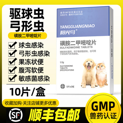 猫咪狗狗宠物球虫弓形虫感染用药