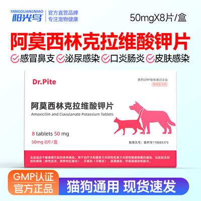 猫咪速消炎片狗狗阿莫西林克拉维酸钾片诺感冒鼻支宠物外伤感染药