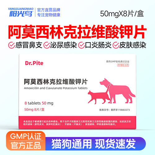 猫咪速消炎片狗狗阿莫西林克拉维酸钾片诺感冒鼻支宠物外伤感染药