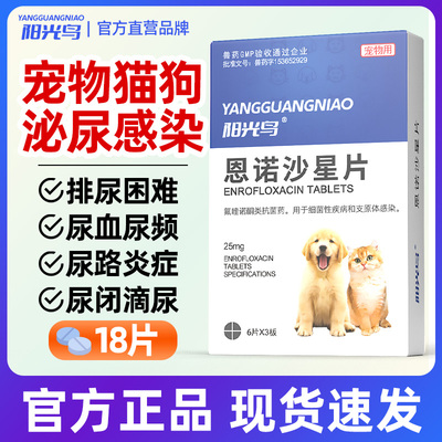 狗狗猫咪尿路感染尿血流脓消炎药