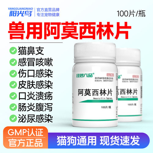 狗狗猫咪感冒药宠物猫用鼻支感染伤口消炎口炎速愈合诺阿莫西林片