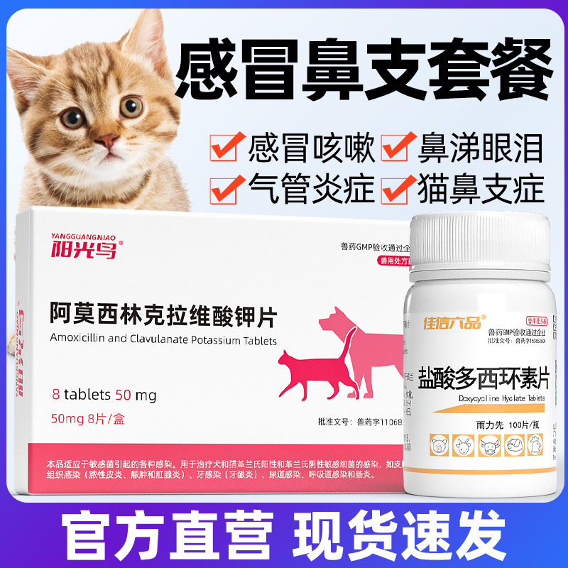 猫咪感冒猫鼻支咳嗽流鼻涕药