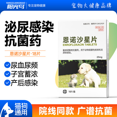 狗狗猫咪宠物尿路感染尿血尿频用