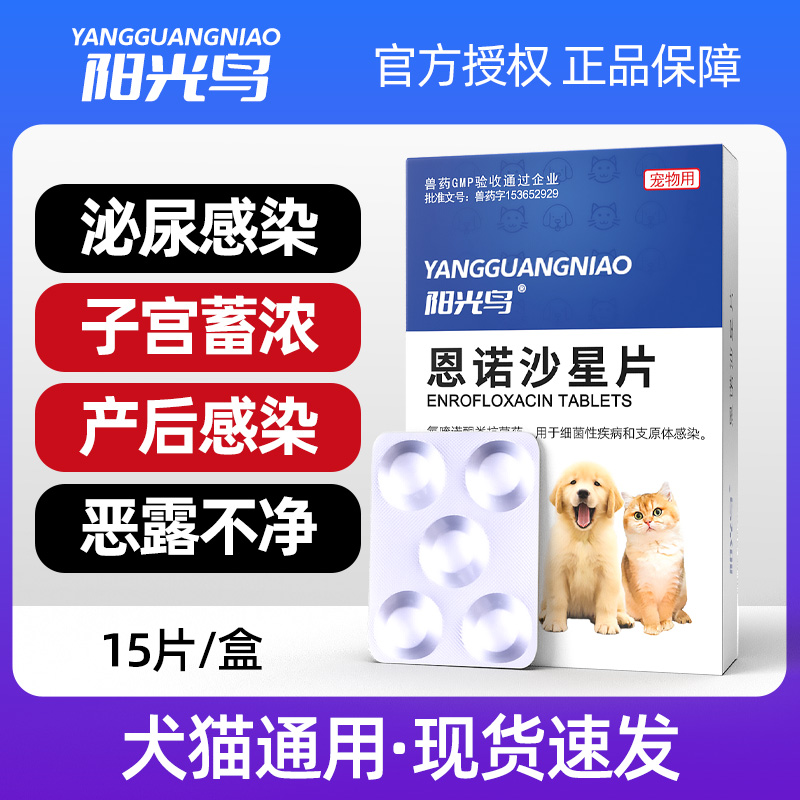 猫咪狗子宫蓄浓泌尿感染尿血流血