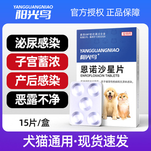 宠物狗狗猫咪子宫蓄脓感染内膜炎积液流血尿血产后消炎活血化瘀药