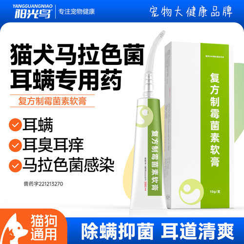 软膏毛囊炎后背痘红疙瘩