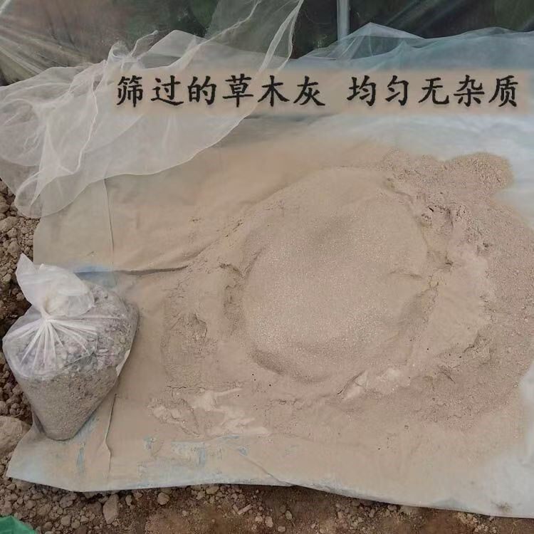 草木灰有机肥 艾草专用 叶片宽大香味浓