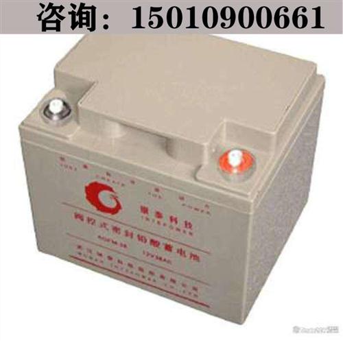 泰6GFM-12V38AH工业安防UPS紧急电源主机蓄电池服装加工设备