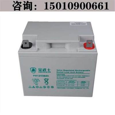 金蓄PW- 12V38AH免UPS直流屏免维护电池电子阅览器/电书