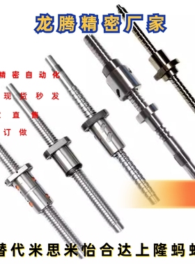 BSWE0802/1002 BTWE1204 1510 1516 1520 1605 1610 滚珠丝杆