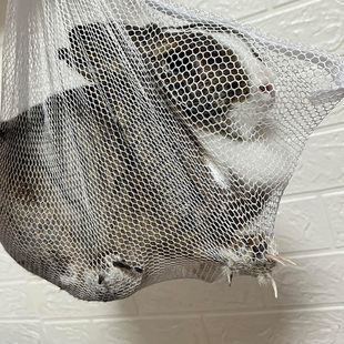 兔子剪指甲神器网兜防挣脱固定防抓防咬束缚袋侏儒兔宠物兔用品