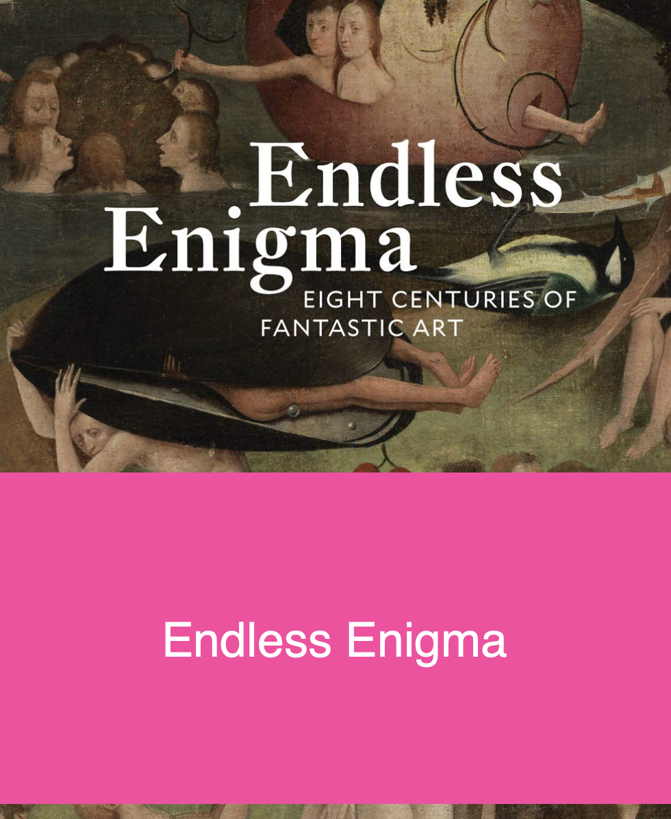 现货EndlessEnigmaFantastic