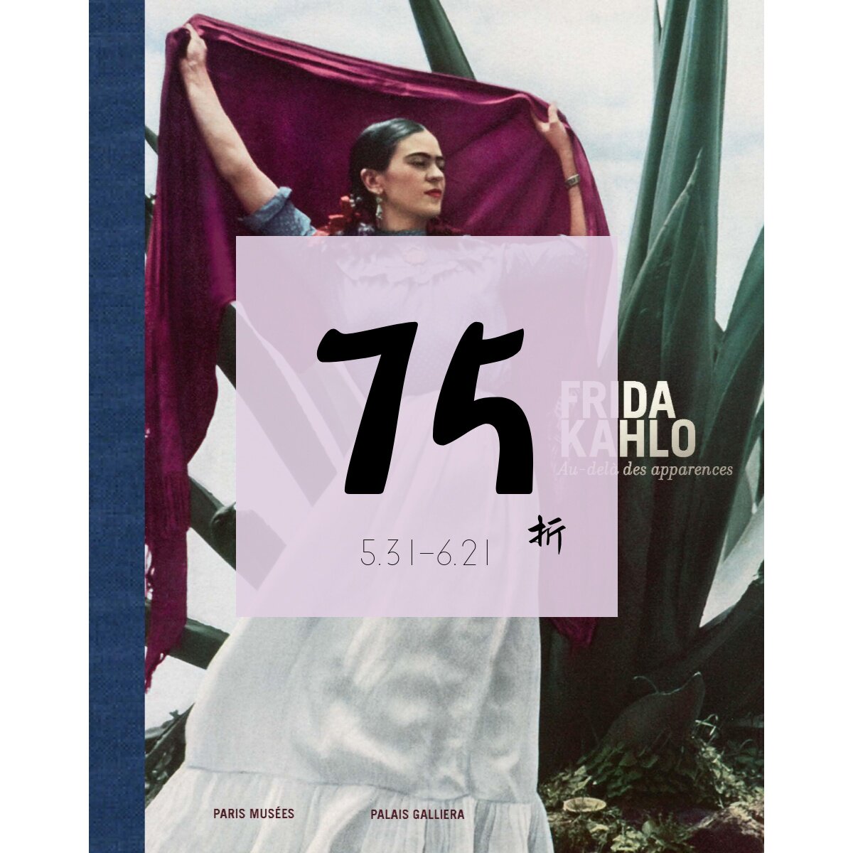 【现货】弗里达·卡罗,超越表象 Frida Kahlo - Au-dela des apparences