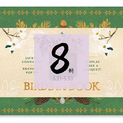 原版现货BirdsinaBook