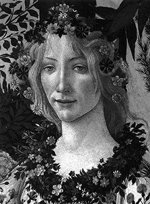【现货】波提切利画册 Botticelli: Classic 2015 费顿大师系列 意大利文艺复兴时期画家 桑德罗·波提切利 Sandro Botticelli