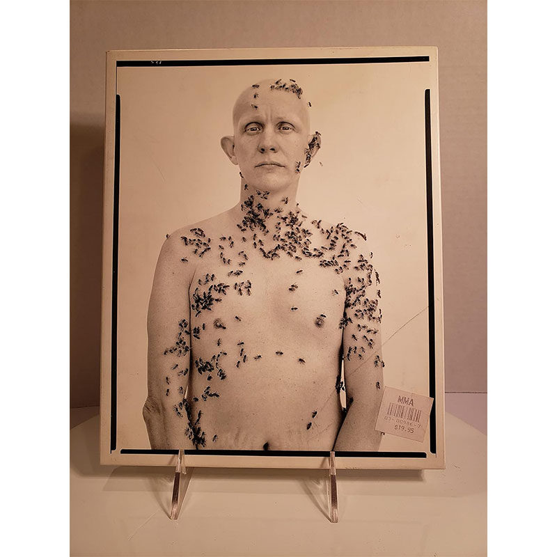 现货PortraitsRichardAvedon