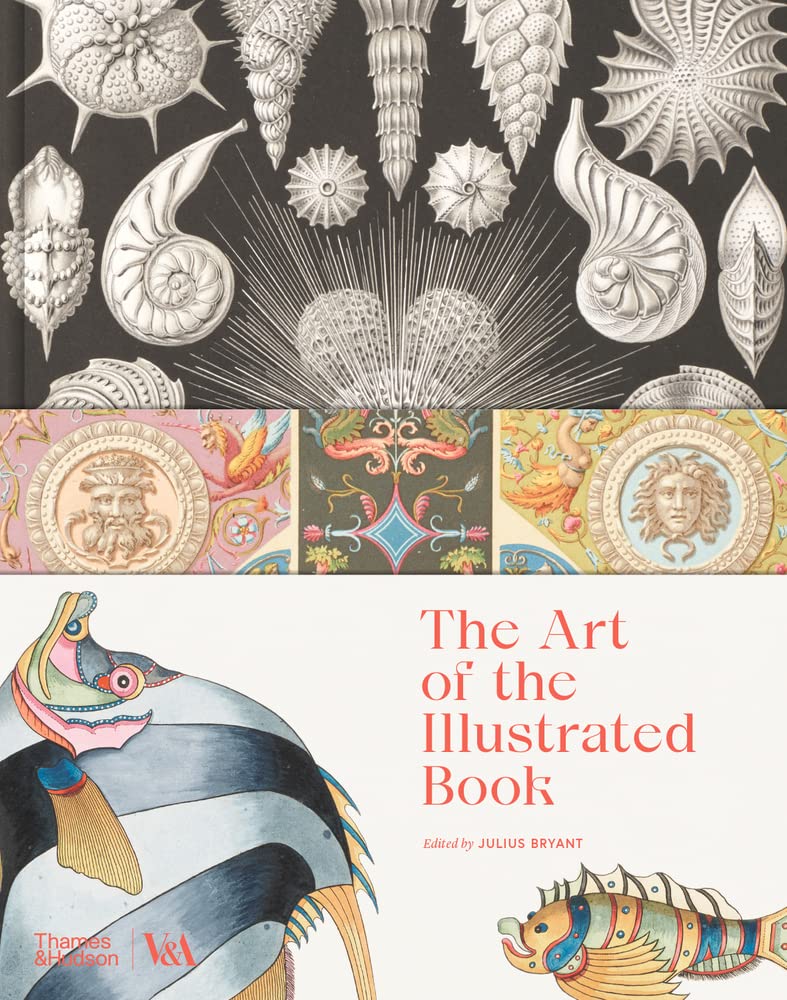 现货书籍的插图艺术BookArt