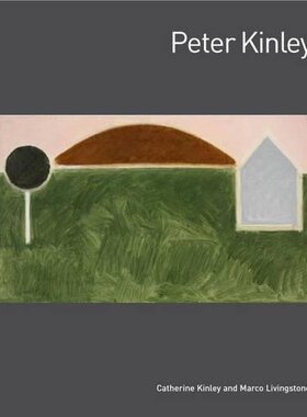 【现货】当代绘画 原版画册 Peter Kinley