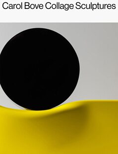 【现货】美国女装置艺术家 卡罗尔·波维作品集 Carol Bove: Collage Sculptures 进口原版当代艺术书籍