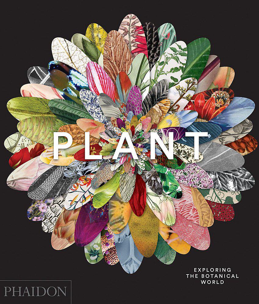 现货探索植物的世界Plant