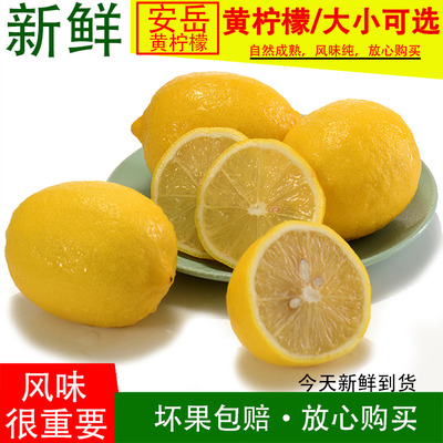 新鲜柠檬黄柠檬尤力克柠檬特一级果皮薄多汁有坏包赔放心购买包邮