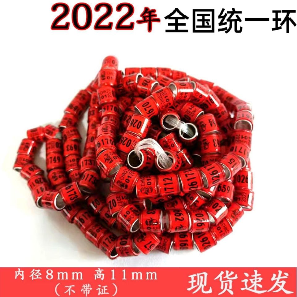 信鸽足环2022年不带证全国统一环鸽子脚环脚环鸽子环赛鸽用品用具