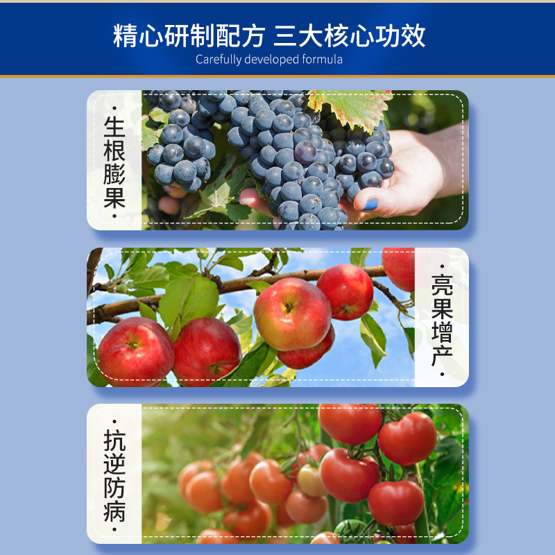 钙镁硼锌铁中量元素水溶肥料果树草莓专用冲施肥叶面肥促花膨果