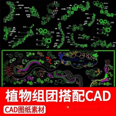 园林植物组团搭配CAD图景观花境设计花草灌木种植绿化配置素材
