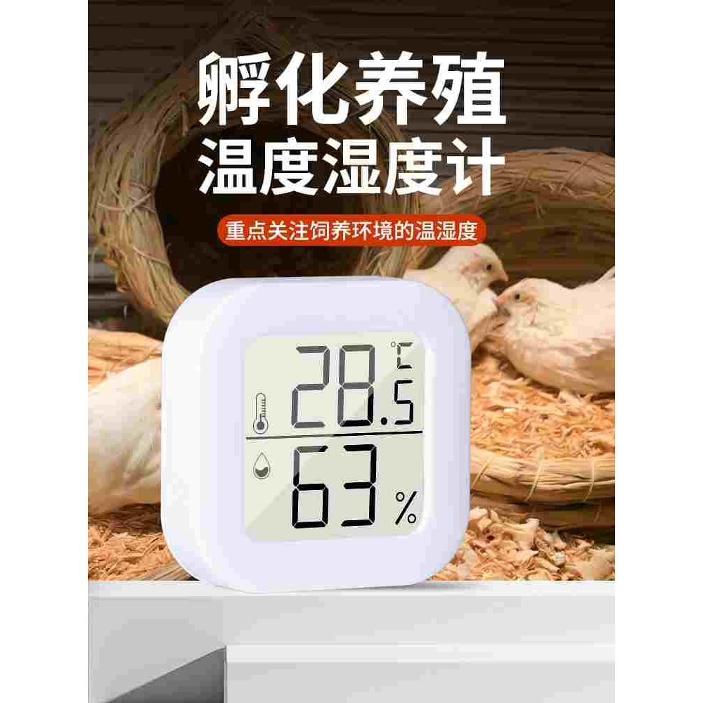 孵化专用温度计爬宠湿度计高精度守宫角蛙宠物箱专用探头温湿度计