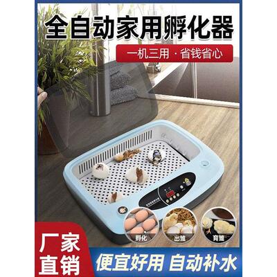 孵化器小型家用迷你芦丁鸡孵化机全自动智能鹦鹉鹌鹑小鸟蛋孵化箱