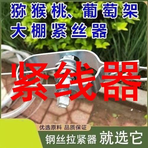 10个价热镀葡萄架铁丝拉紧器钢丝绳收紧拉直紧固扣拉紧环紧线器