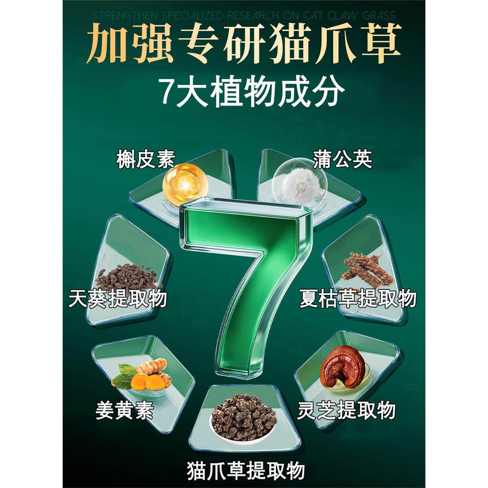 美国原装进口猫爪草散胶囊夏枯草蒲公英散茶中药材甲状腺淋巴乳腺