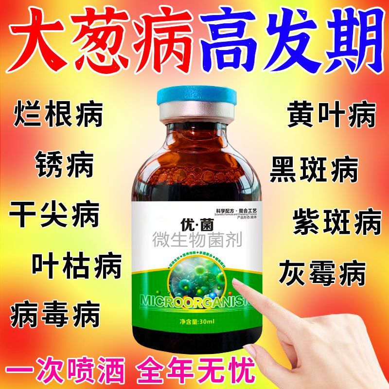 急救大葱腐烂病根沤高温引