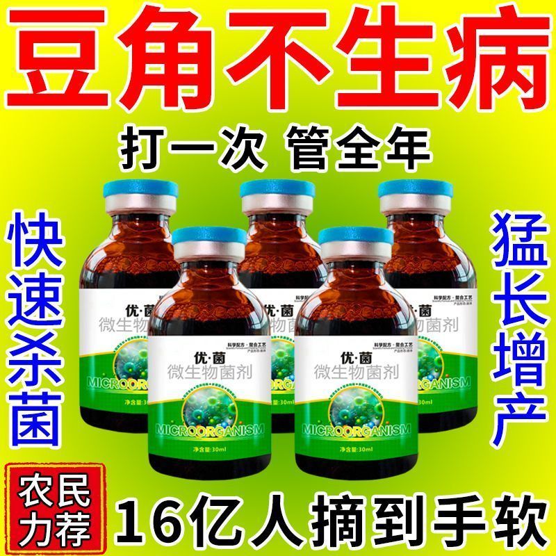 豆角病全治雨后叶斑锈枯萎